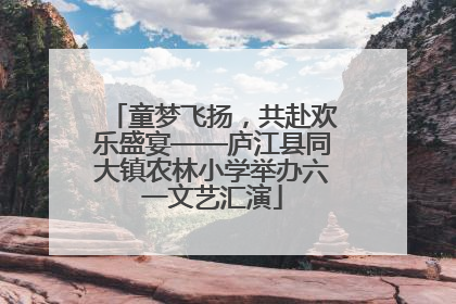 童梦飞扬，共赴欢乐盛宴——庐江县同大镇农林小学举办六一文艺汇演